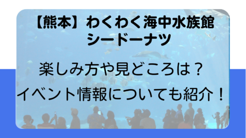 【熊本】わくわく海中水族館シードーナツの楽しみ方や見どころは？イベント情報についても紹介！タイトルイメージ画像